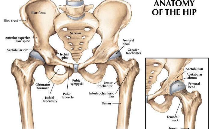Hip-replacementعملية-استبدال-مفصل-الورك