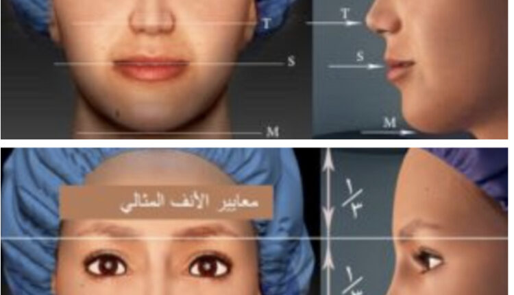انسجام أجزاء الوجه عند إجراء تجميل الانف :