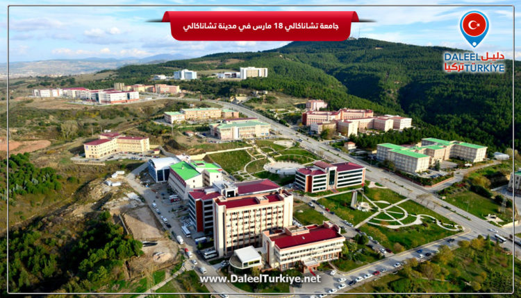 جامعة تشاناكالي 18 مارس في مدينة تشاناكالي التركية