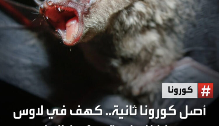 كهف في لاوس مع خفافيشه قد يكون السبب لكورونا