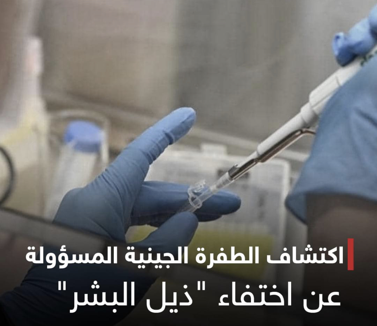 اكتشاف الطفرة الجينية المسؤولة عن اختفاء “ذيل البشر”