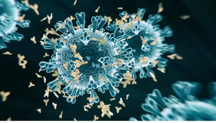 الأجسام المضادة تنمو عند التطعيم بهذين اللقاحين