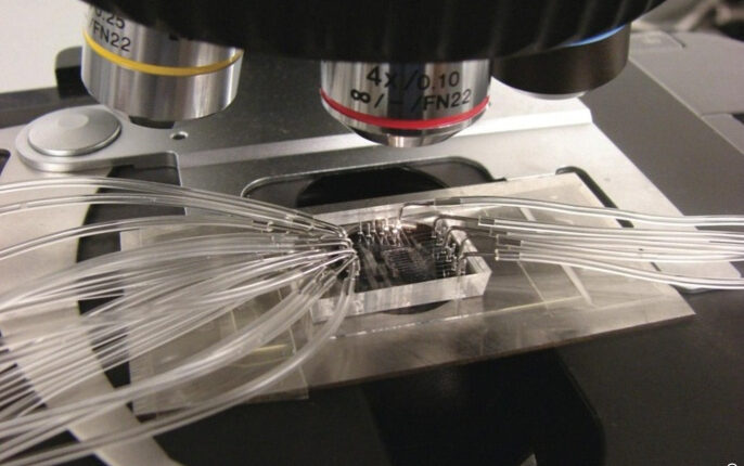 هل يمكن إدخال شرائح إلكترونية في تطعيمات فيروس كورونا؟