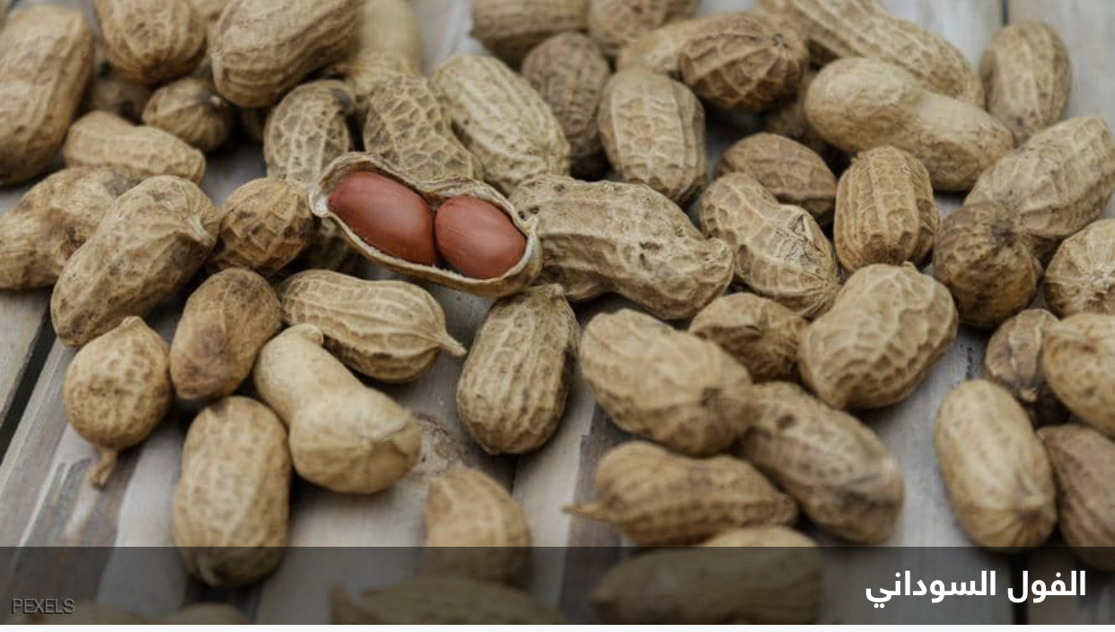 فائدة مذهلة" للفول السوداني