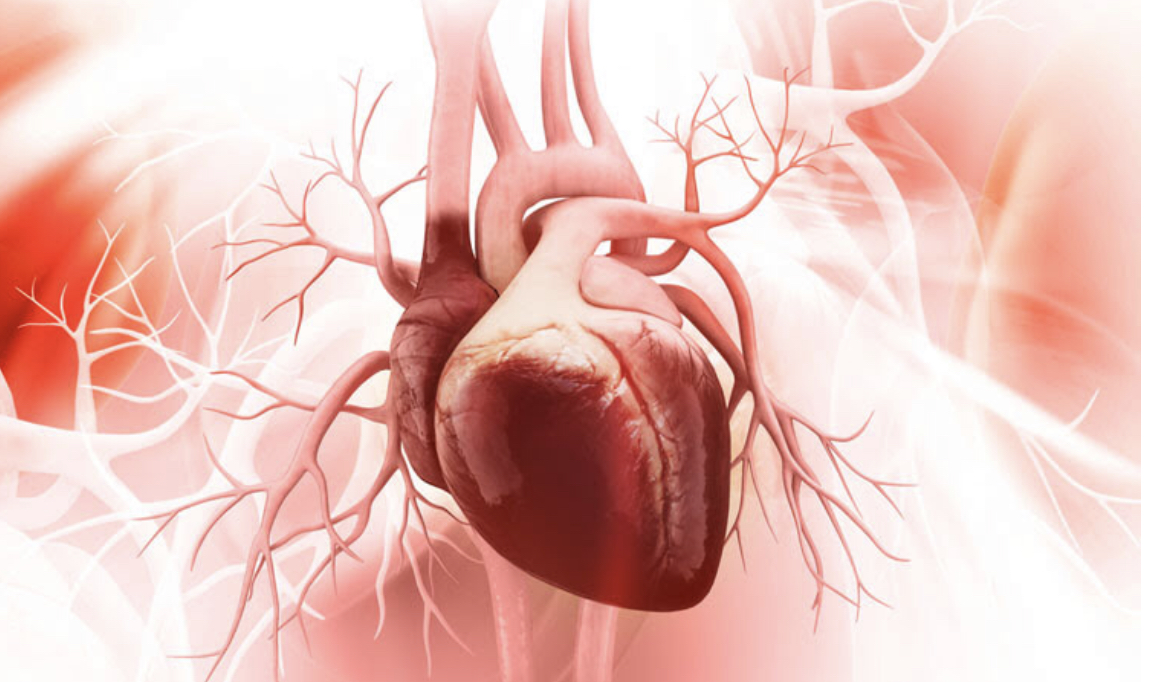 علاج قصور القلب سوي الوظيفة القذفية عن طريق أدوية السكري