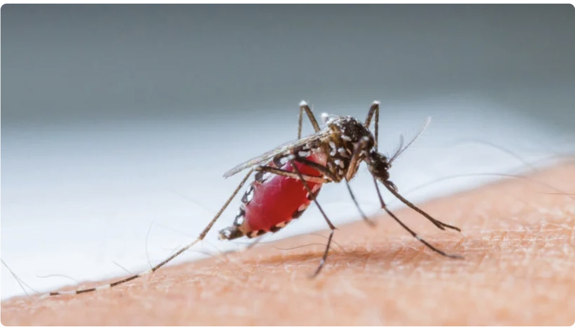 أول لقاح ضد الملاريا للأطفال