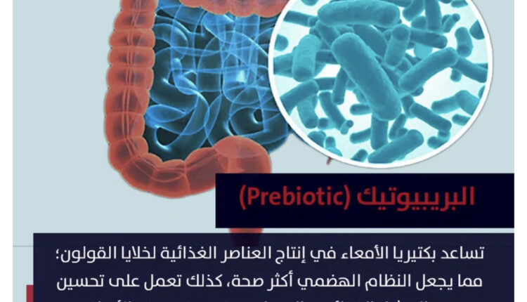 البريبيوتيك (Prebiotic)