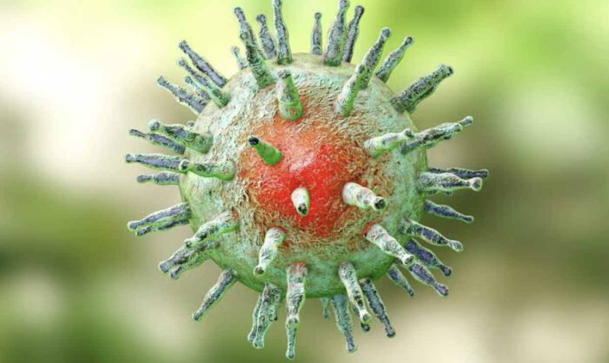 ما العلاقة بين فيروس إبشتاين بار ومرض التصلب العصبي المتعدد؟