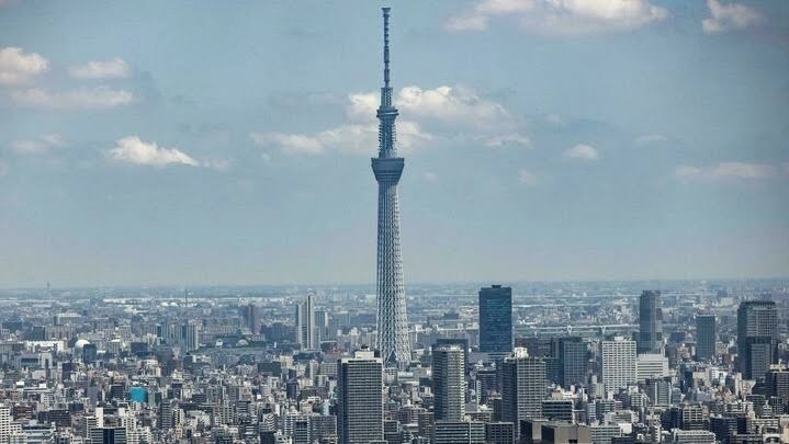 Researchers at Tokyo's Keio University want to study whether induced pluripotent stem (iPS) cells can be used to treat the injuries Behrouz MEHRI AFP/File