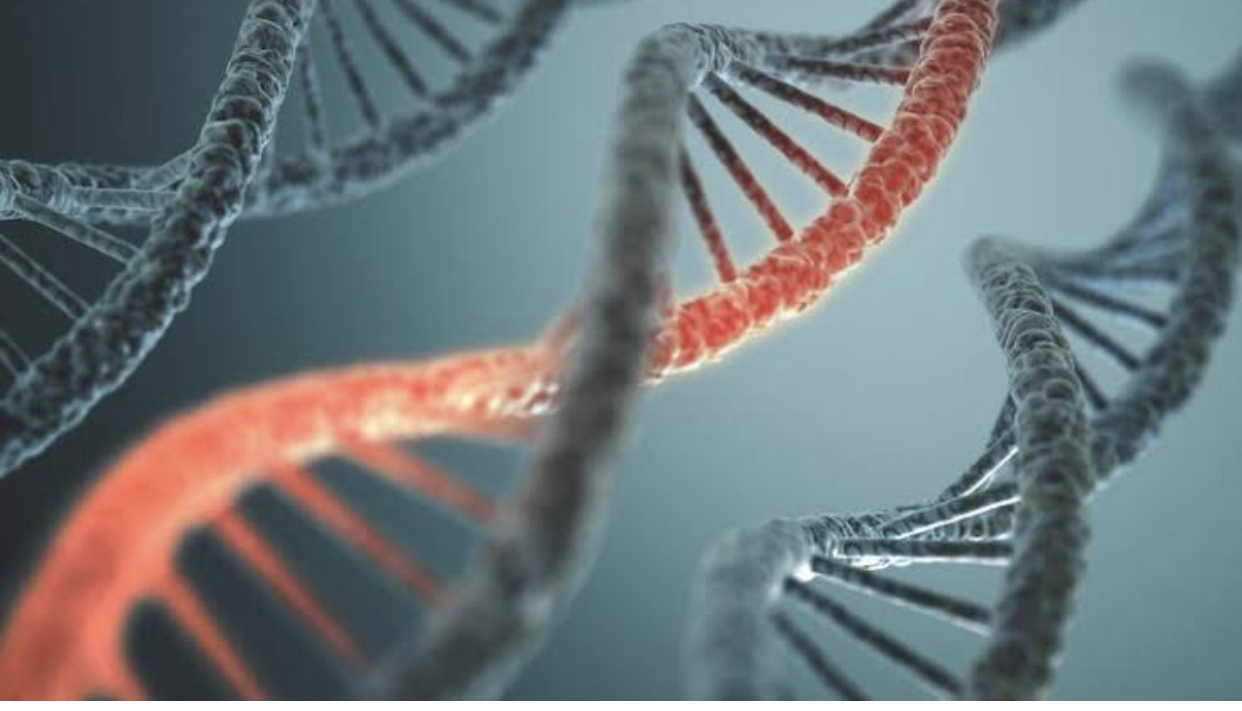 Study Reveals Outsize Role Of MRNA Region In Tuning Expression