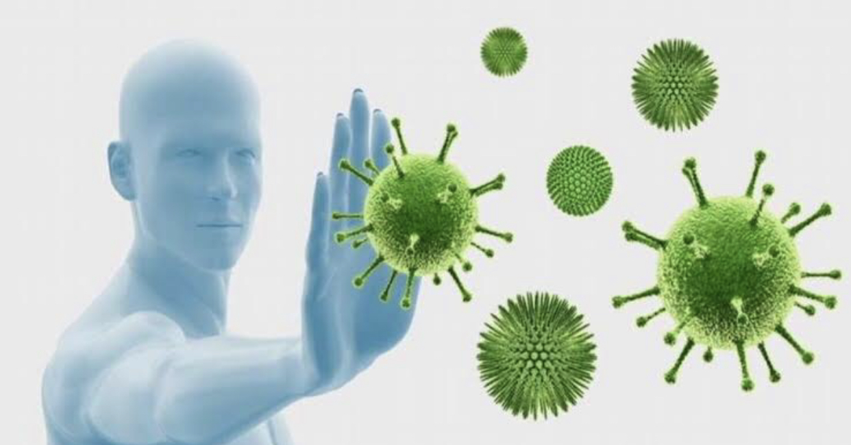 خلايا معوية تملك ذاكرة وتتعرف على الأمراض وتحاربها