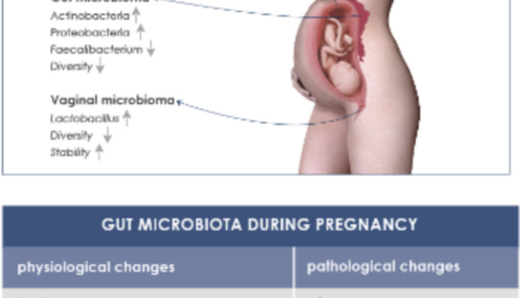 GUT MICROBIOTA AND IMMUNE SYSTEM