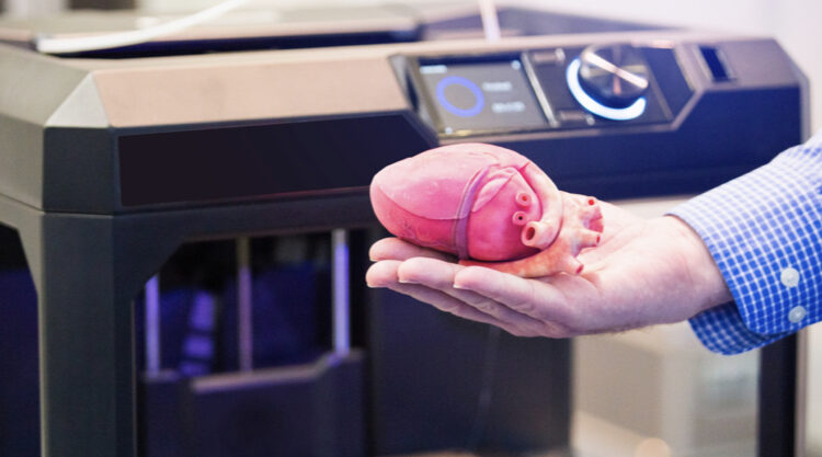 قلب مطبوع بتقنية الطباعة ثلاثية الأبعاد
