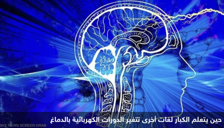 دراسة تكشف “أسرارا مثيرة” بشأن أدمغة الناطقين بالعربية