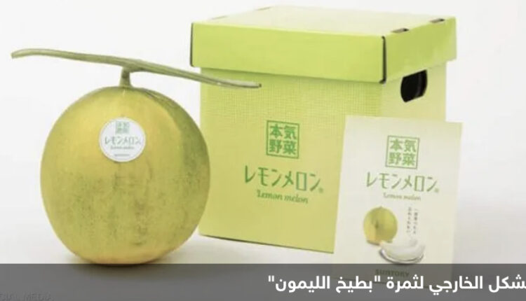شركة يابانية تطور ثمرة جديدة تدعى بطيخ الليمون